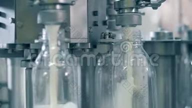 工厂输送机正在用牛奶旋转和灌装瓶子。 用牛奶灌装瓶子的自动化过程。
